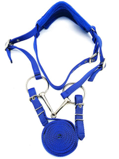 Water Leather Bridle with Nickel Plated Bit and Cushion