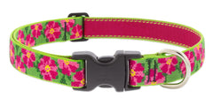 Lupine Dog Collar 1" wide Petunias Adjusts from 12" to 20"