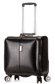 18-Inch Business Rolling Luggage with Spinner Wheels