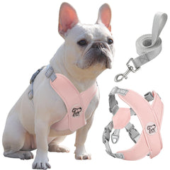 Pawaboo Dog Harness with Leash Set X-Frame No Pull Pet Harness Adjustable Choke Free Dog Vest Harness for Small Medium Dogs & Puppies Breathable Puppy Vest with Leash for Walking Outing (L Pink)