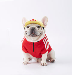 Dog Hoodie with Three Stripes for Pets