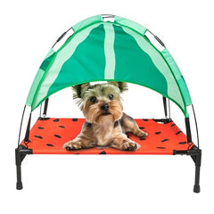 BigMouth Inc Elevated Canopy Bed for Dogs Raised Outdoor or Indoor Pet Cot - Watermelon Small Size