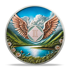 2 Year Sobriety Coin - Flying NA Medallions | Narcotics Anonymousa AA Chips and Medallions | Addiction Recovery Gifts for Celebrating Recovery Anniversary Milestones | Sobriety Gifts for Women & Men