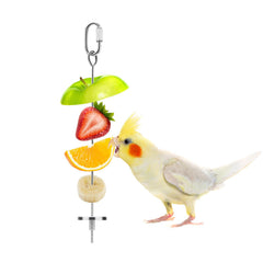 Bird Food Holder Stainless Steel Fruit Vegetable Stick Skewer for Parrots Cockatoo Cockatiel Cage Treating Tool (L: 7.86inch)
