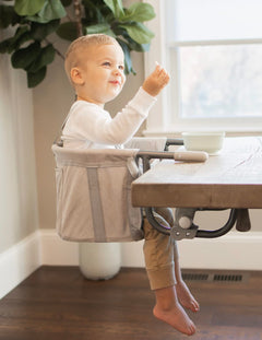 Regalo Easy Diner Hook-On High Chair Award Winning Brand Includes Storage Pocket Rubber Bumpers to Protect Surfaces and Fast Compact Foldable Design for Home and Travel Use