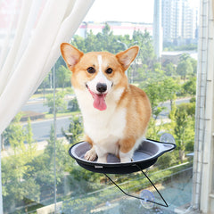 Cat Suction Cup Window Bed - Round Hammock for Cats