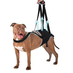 Dog Sling for Large Dogs Rear Leg Support Adjustable Sling Support for Large Dogs Hind Legs Hip & Back Leg Joint Injury Dog Lift Help Me up Harness for PetsXL