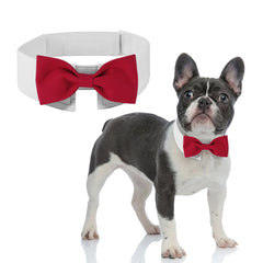 DOGTACT Elegant Dog Bow Tie - Cute Tuxedo Bowtie with Adjustable White Collar for Formal Pets - Perfect for Valentines Weddings and Birthdays