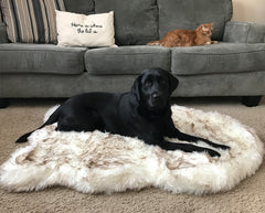 Beige Plush Pet Dog Mat for Resting and Comfort