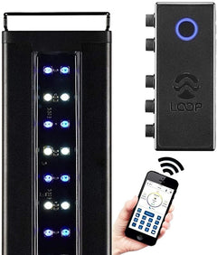 CURRENT USA 72" Inch Orbit Marine IC LOOP LED Saltwater Reef Marine Aquarium Light with Bluetooth App Control | Wireless Lighting & eFlux Wave Pump Control for Fish Tank (4208)