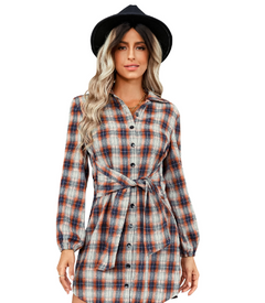 Women's Fashion Plaid Drawstring Waist Dress