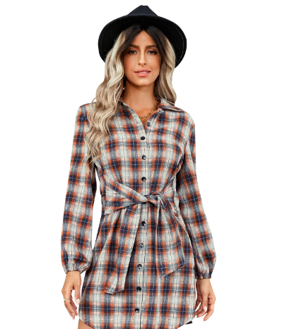 Women's Fashion Plaid Drawstring Waist Dress