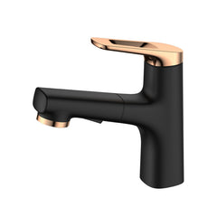Dual-Function Pull-Out Faucet for Bathroom Sink