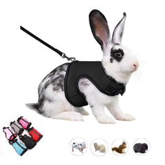 Bunny Harness Escape ProofRabbit Leash Set Vest Mesh Walking Training for Small Animal Pets Rat Ferret Squirrel Chinchillas Guinea Pig Bunnies Black XL