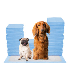 FPN Training Pads for Dogs 100 Count | (Small 13x18 inch) Pee Pads for Dogs  Puppy Pads Pet Training Pads 5 Layer Pads for Instant Absorption