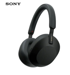 Wireless Noise-Cancelling Earphones