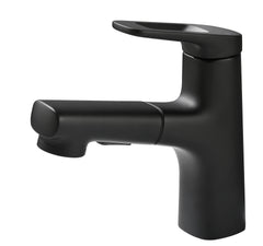 Dual-Function Pull-Out Faucet for Bathroom Sink