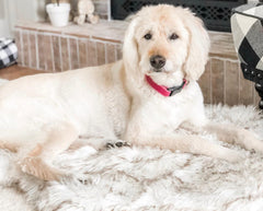 Beige Plush Pet Dog Mat for Resting and Comfort