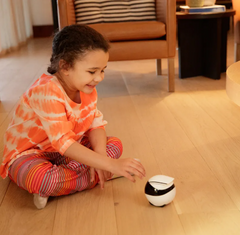 Smart Companion Robot Camera