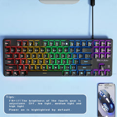 H87 Mechanical Wired Dual Color Keyboard for Gaming