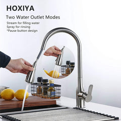Brushed Nickel High Arc Kitchen Faucet