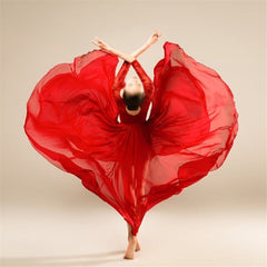 Elegant Classical Dance Costume with Half-Length Skirt