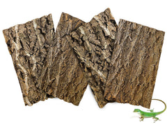 BNOSDM 4pcs Reptile Cork Bark Terrarium Background Bearded Dragon Tank Decor for Lizard Bearded Dragon Frog Leopard Gecko Tortoise Snake Chameleon
