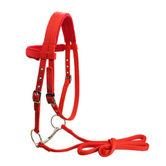Water Leather Bridle with Nickel Plated Bit and Cushion