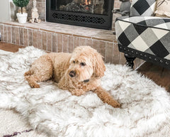 Beige Plush Pet Dog Mat for Resting and Comfort