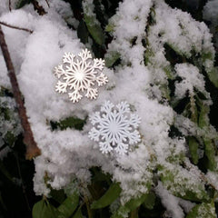 Snowflake Pin