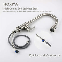 Brushed Nickel High Arc Kitchen Faucet