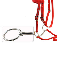 Water Leather Bridle with Nickel Plated Bit and Cushion