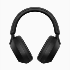 Wireless Noise-Cancelling Earphones