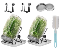 Lulonpon 2pcs Sprouts Growing Jar Kit Wide Mouth Quart Mason Jars with Stainless Steel Screen Sprout Lids 86mm1000mlStandTray and Canning BrushSeed Sprouter Set for Broccoli Alfalfa Mung Bean
