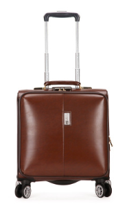 18-Inch Business Rolling Luggage with Spinner Wheels