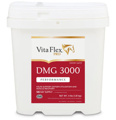 Vita Flex Pro DMG 3000 Horse DMG Concentrate 4 Pounds 128-Day Supply