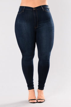 Plus Size High Waist Skinny Jeans for Women (L-5XL)