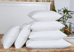 White Goose Down Cushion Insert for Sofa and Chair