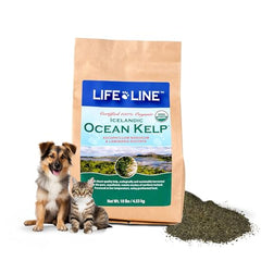Organic Ocean KELP 10 LB