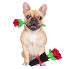 HUMLANJ Valentines Dog Toys Stuffed Dog Puzzle Toy Bouquet of Red Roses Festival Decoration Dog Valentines Day Gift for Small Medium Large Dog