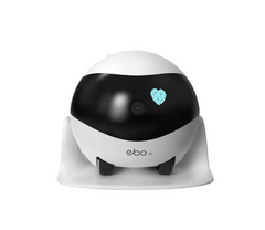 Smart Companion Robot Camera