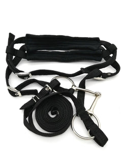 Water Leather Bridle with Nickel Plated Bit and Cushion