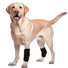 ROZKITCH Dog Leg Protector for Rear Hock Joint or Front Leg Brace 1 Pair of Dog Leg Compression Wrap Sleeve for Anti Licking Carpal Support Ankle Support Protect Injury Sprain Torn ACL CCL Black M