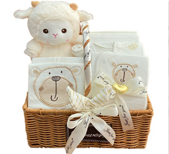 Newborn Baby Clothing Set Gift Box (One Set)