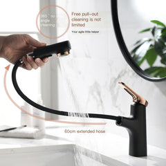 Dual-Function Pull-Out Faucet for Bathroom Sink