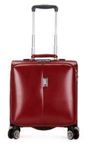 18-Inch Business Rolling Luggage with Spinner Wheels